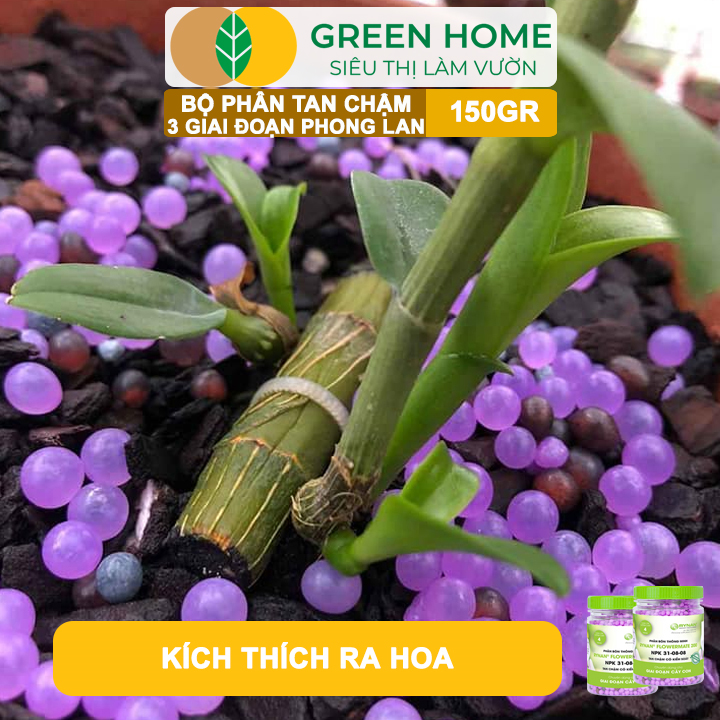Bộ 3 Phân Tan Chậm Greenhome, Rynan 200-210-220 Chuyên Phong Lan 3 Giai Đoạn Dưỡng Cây Con, Kích Hoa, Sau Ra Hoa