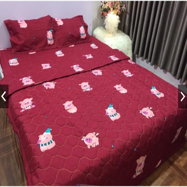 BỘ GA VỎ GỐI COTTON PHA MẪU HEO ĐỎ