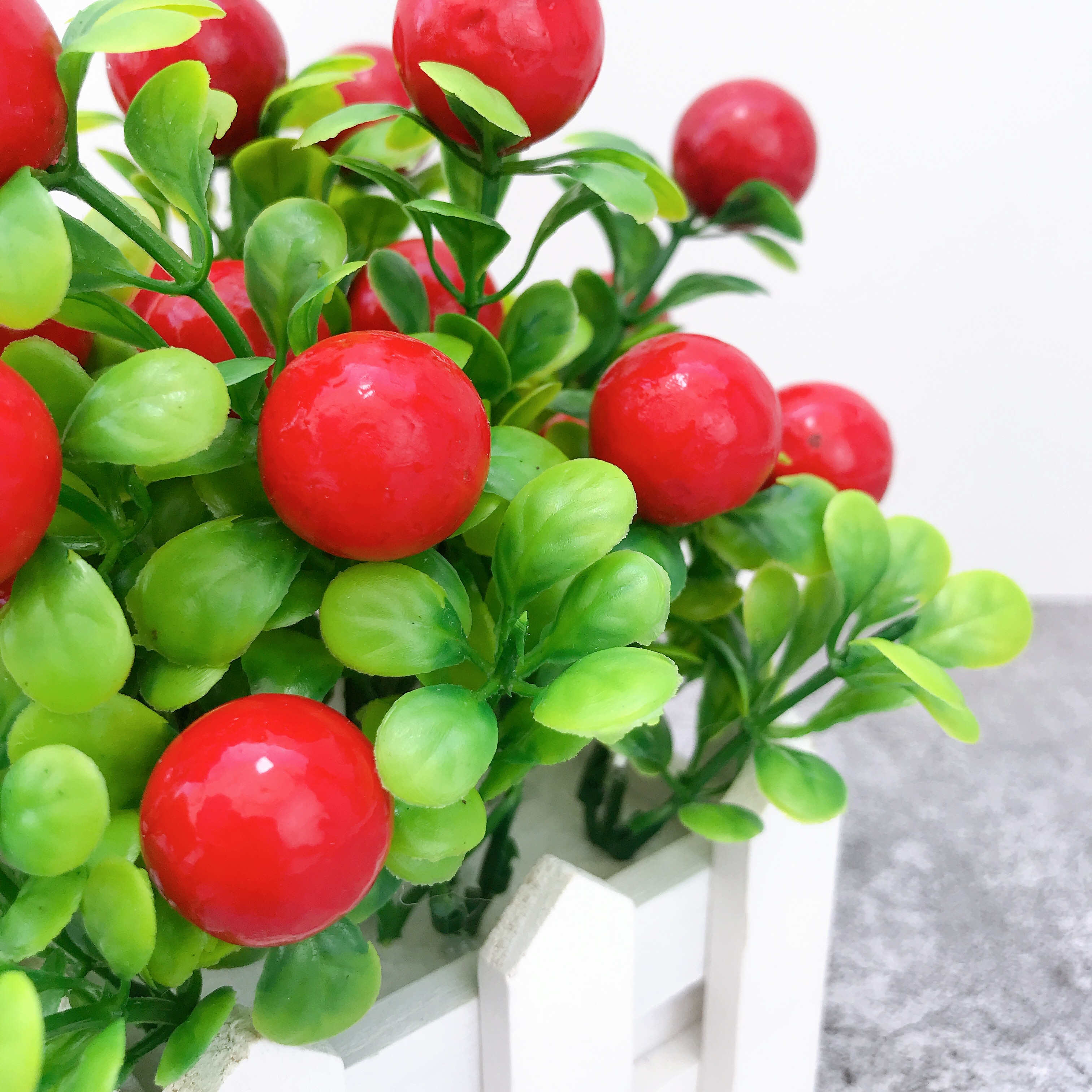 Chậu Cây Cherry Giả Đỏ Mọng