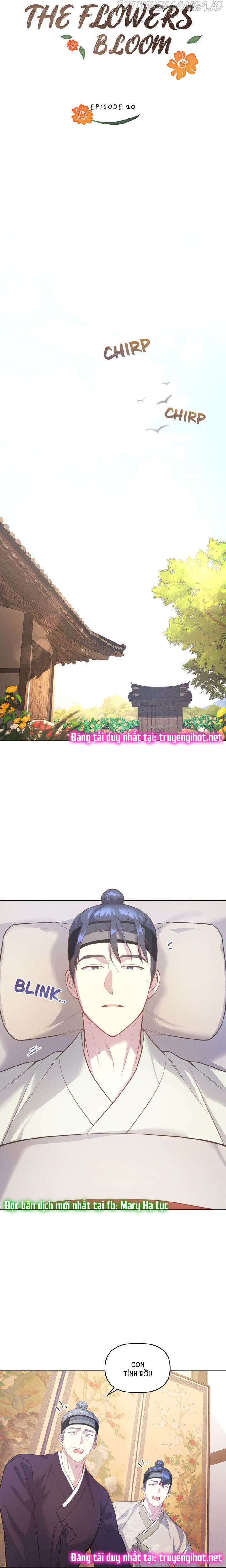 đăng tiêu hoa chapter 20 5