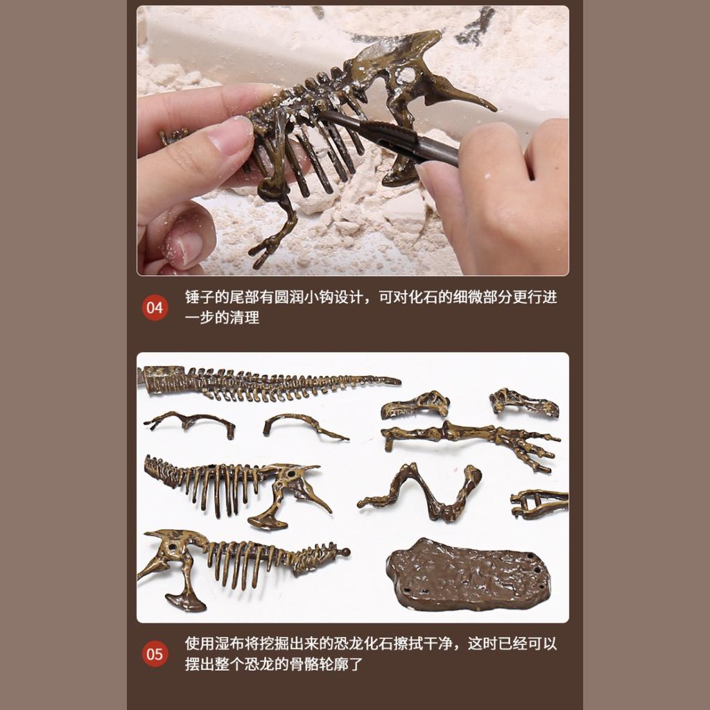 Đồ chơi mô phỏng khủng long hóa thạch đồ chơi khai quật mô hình động vật đủ bộ dụng cụ cho bé từ 4 tuổi