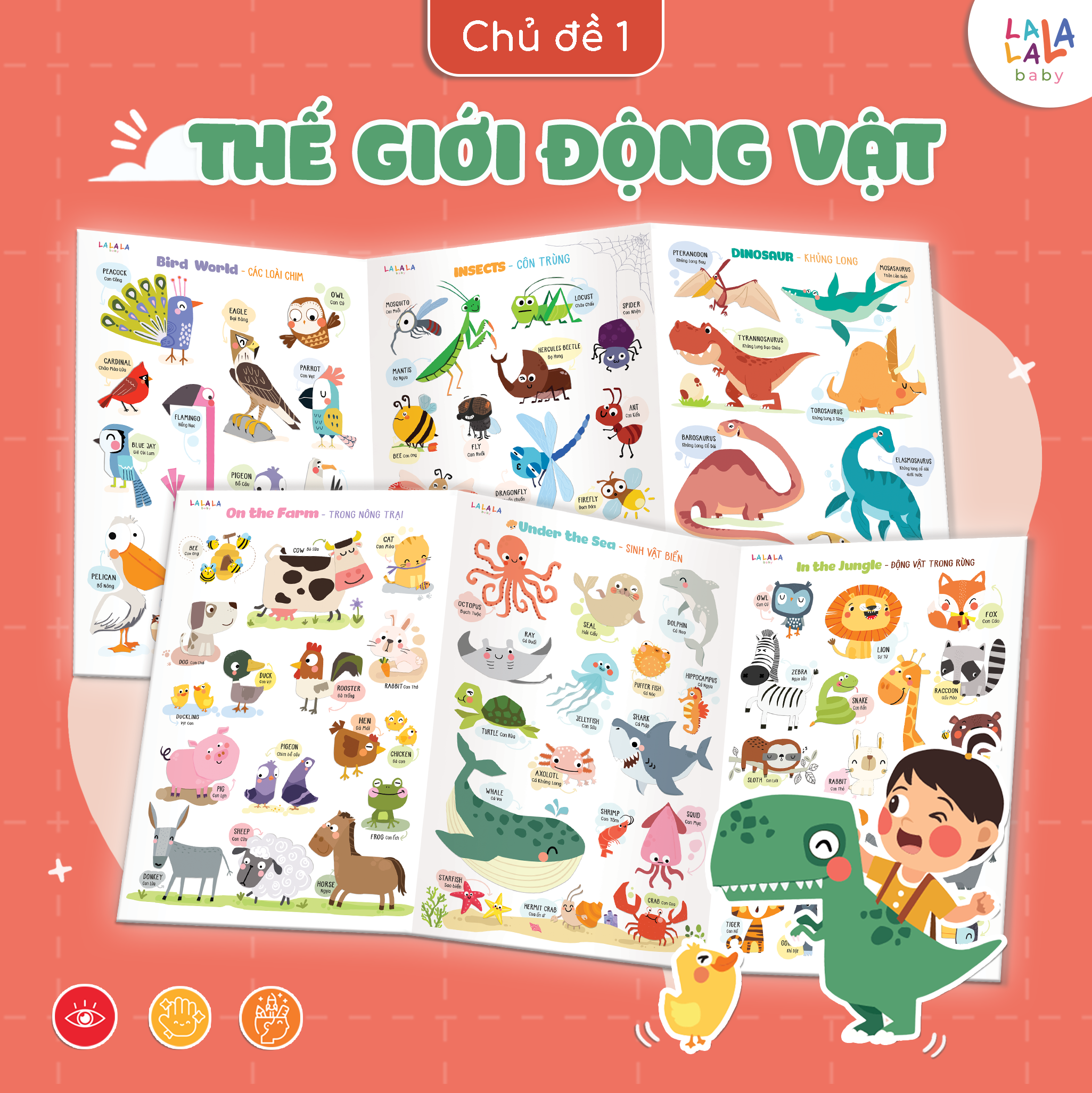 Bảng gấp thông thái - My First Learning chart (Dành cho bé từ 1 tuổi) - Lalala Baby