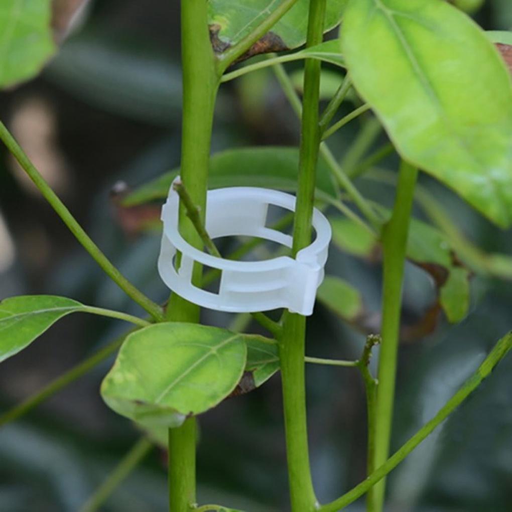 50PCS/Set Reusable Plastic Plant Support Clips Plants Hanging Vine Garden Greenhouse Vegetables Tomatoes Clip【vollter1】