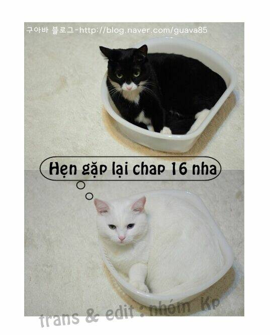 papi nyang chapter 15 21