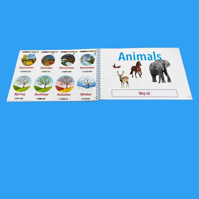 Bộ flashcard tiếng anh thông minh EnglishSmartCard (Tập 1)