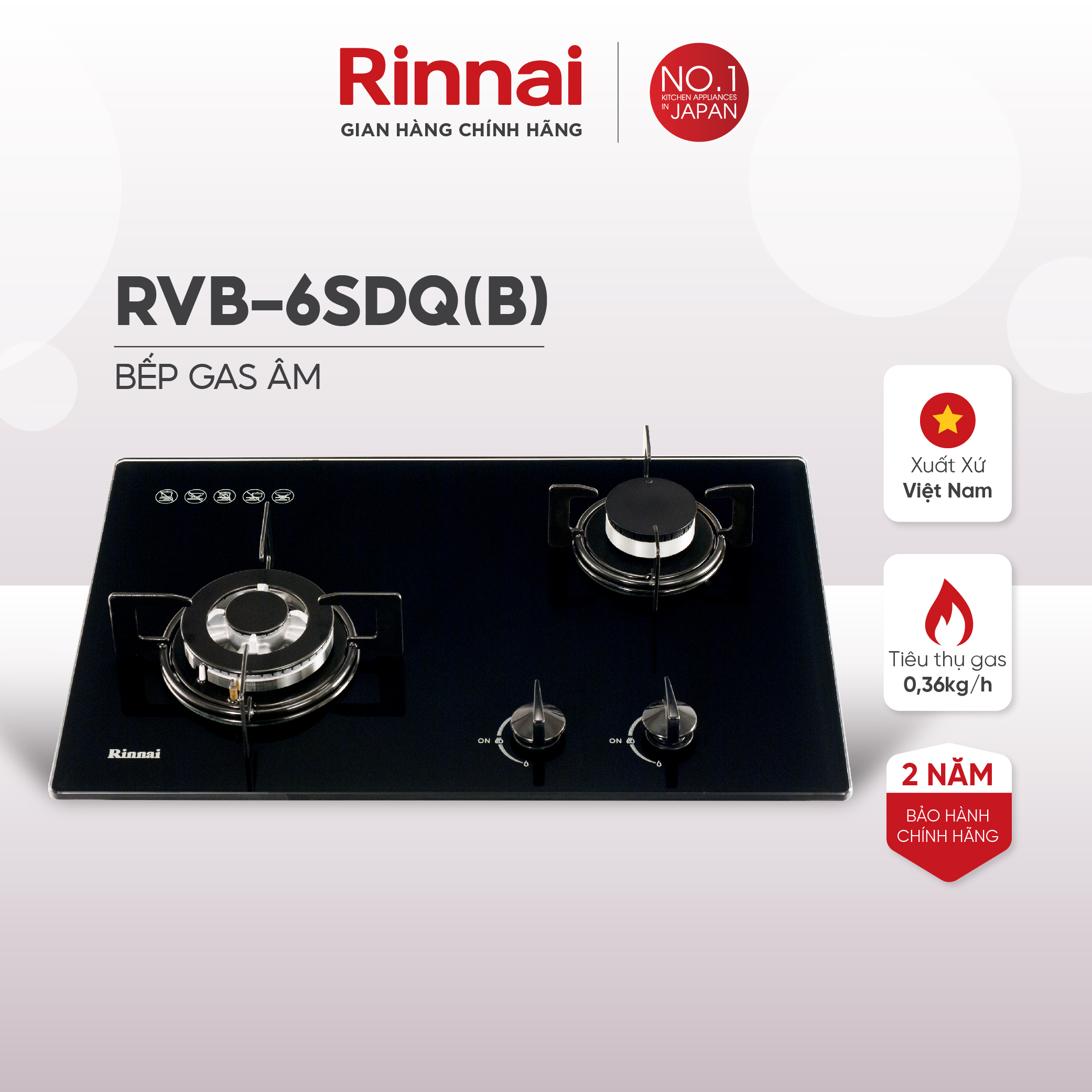 Bếp gas âm Rinnai RVB-6SDQ mặt bếp kính và kiềng bếp men - Hàng chính hãng.