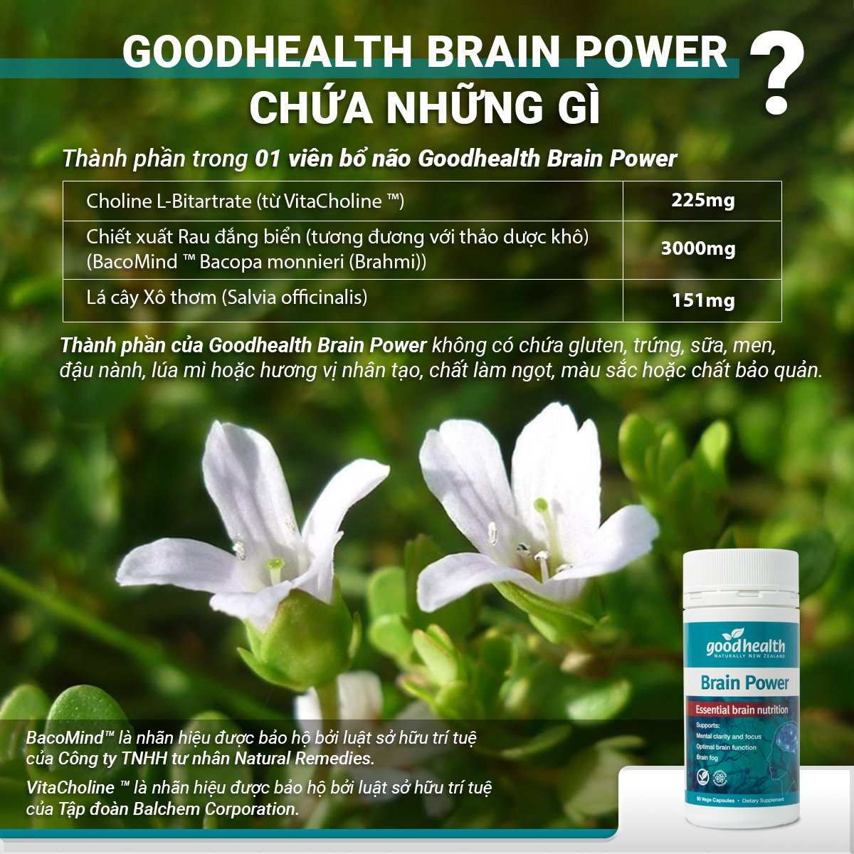 Viên bổ não Goodhealth Brain Power (60 viên) - Hỗ trợ tuần hoàn não; Chống oxy hóa; Hỗ trợ chức năng não khỏe mạnh