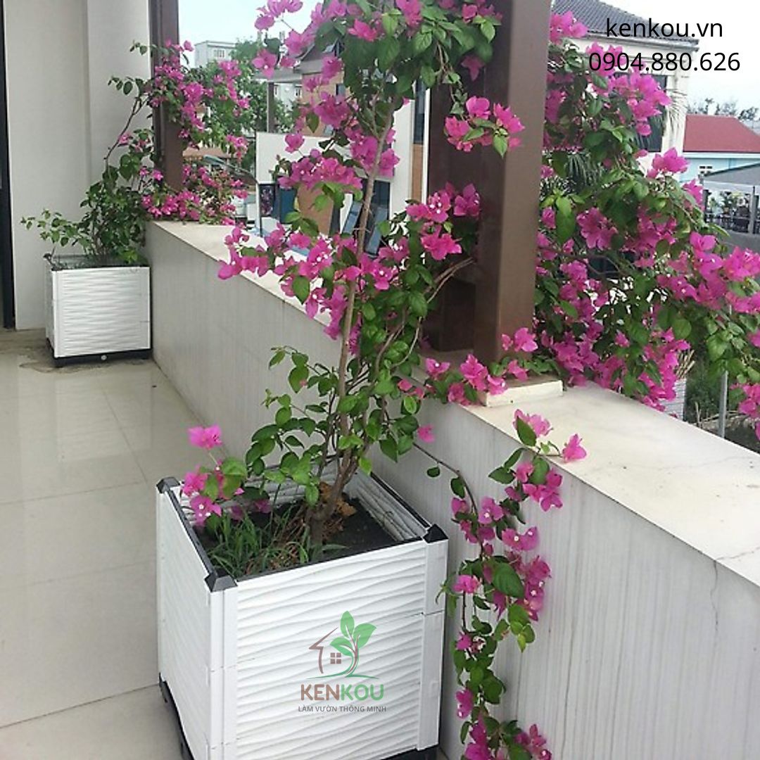 Chậu ghép trồng cây L150 x W50 x H38 Chậu thông minh Việt Nam trồng rau, hoa, cây cảnh tại nhà