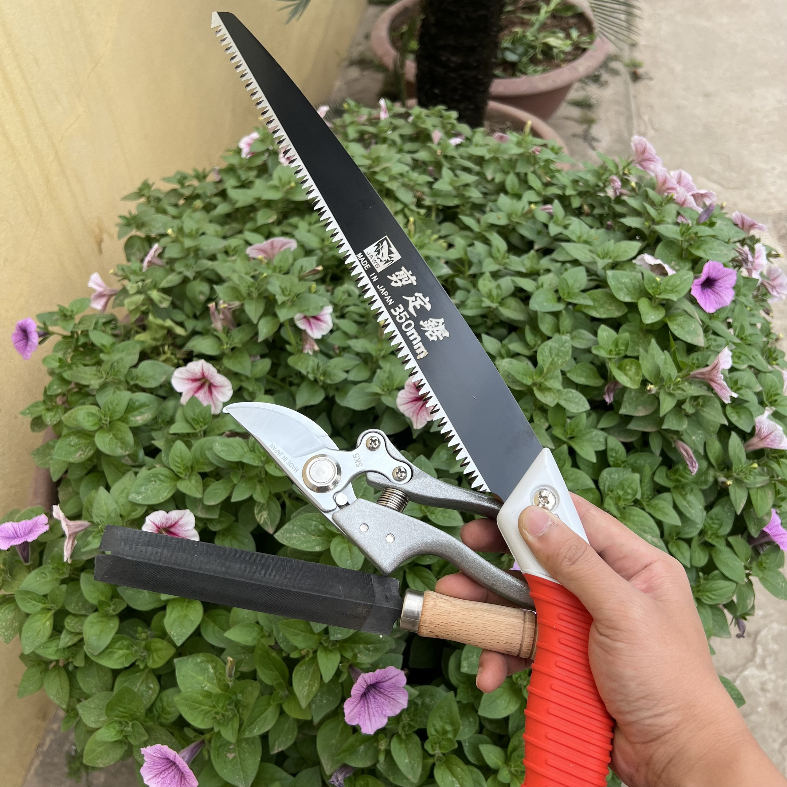 Combo Cưa cắt cành Nhật Bản  + Kéo Cắt Cành SK5 Nhật Bản + Dũa Cưa, Dũa Kéo. Dụng cắt tỉa cây cảnh, cây bonsai