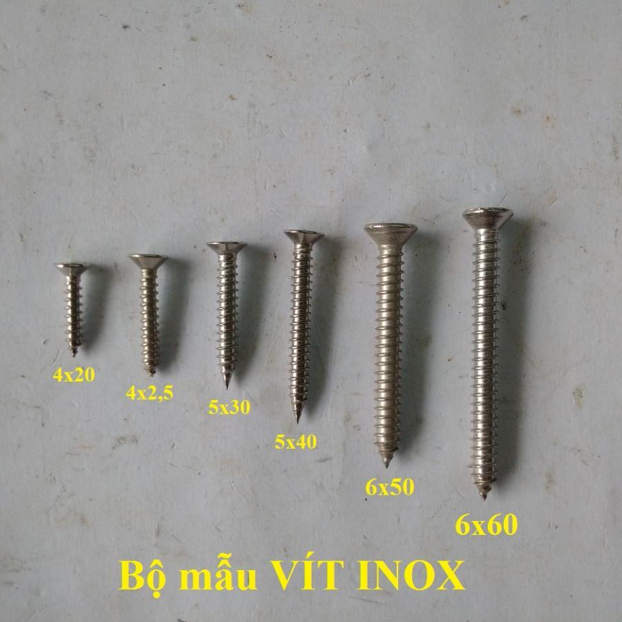 Bộ 100 con vít inox 6x60