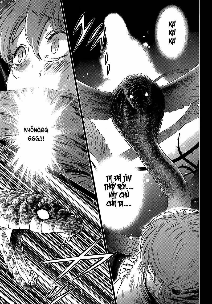 áo giáp vàng: nữ thánh đấu sĩ chapter 1 8