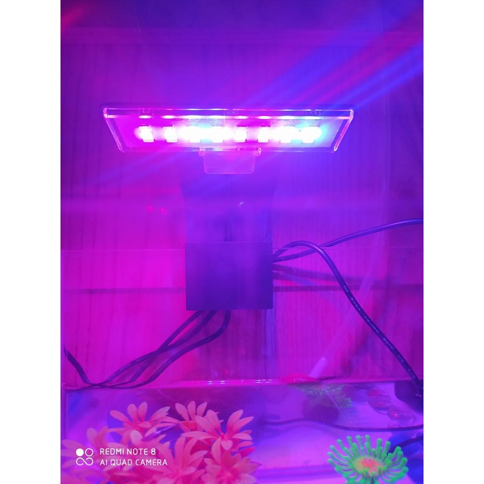 ĐÈN LED KẸP MINI X3 GeBo- Đổi Màu - ĐÈN THUỶ SINH CHO HỒ 20-30cm Đèn Led kẹp thành bể cá dáng cong, sang trọng