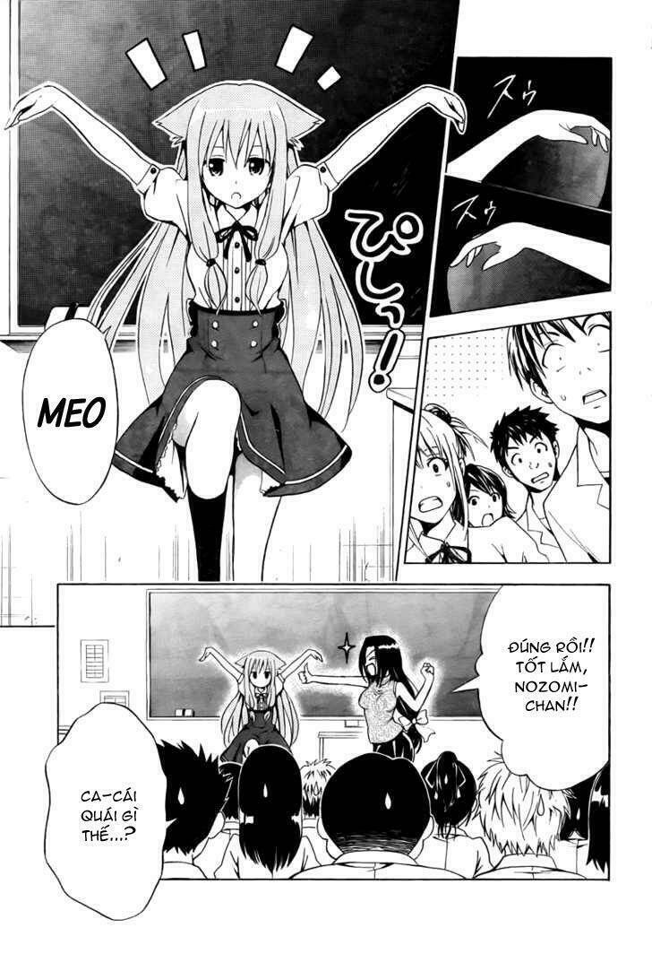 mayoi neko overrun! chapter 2 8