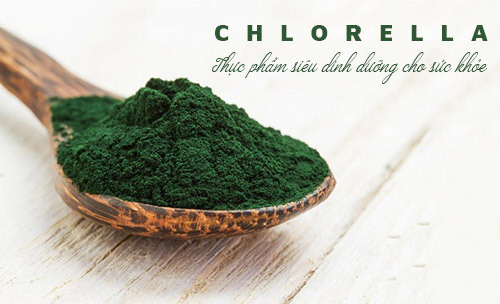 tao sam, thuc pham chuc nang, vien uong dep da