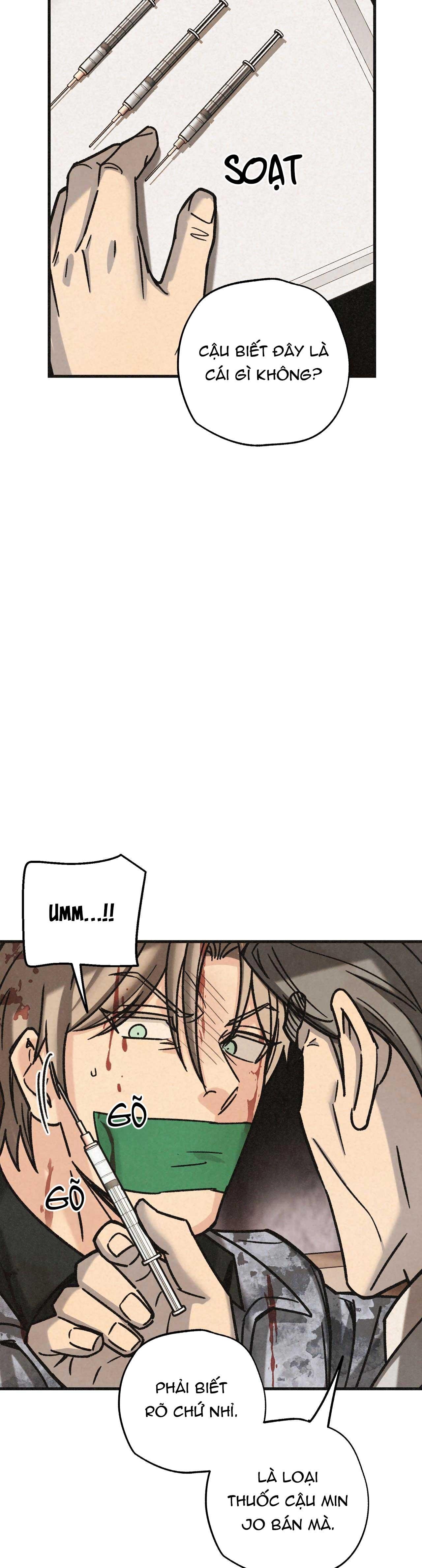 băng đảng samgeori chapter 31 27