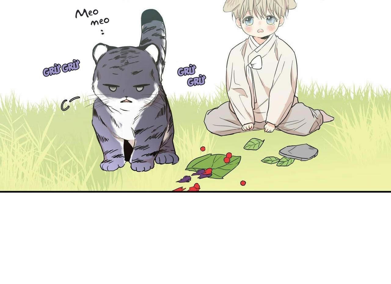 không chốn yêu đương chapter 68 53