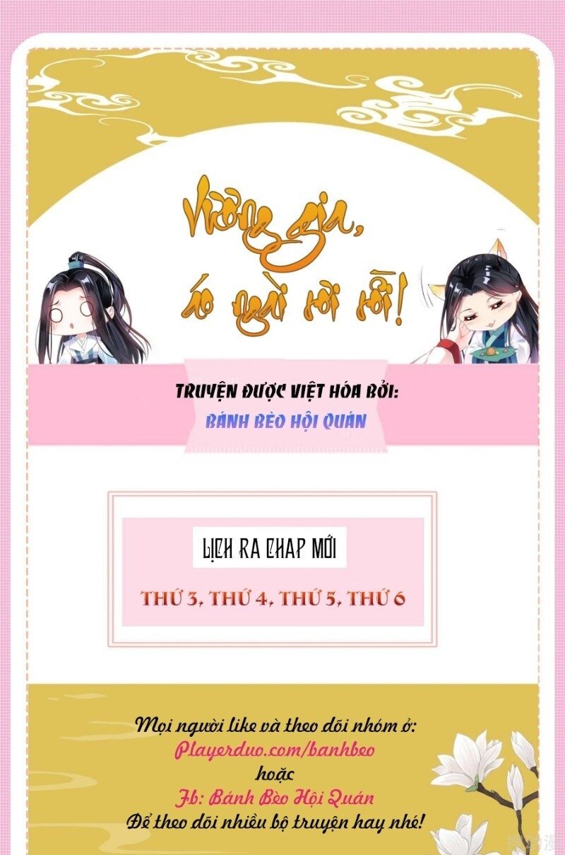 vương gia, áo lót của ngươi rơi mất rồi chapter 43 54