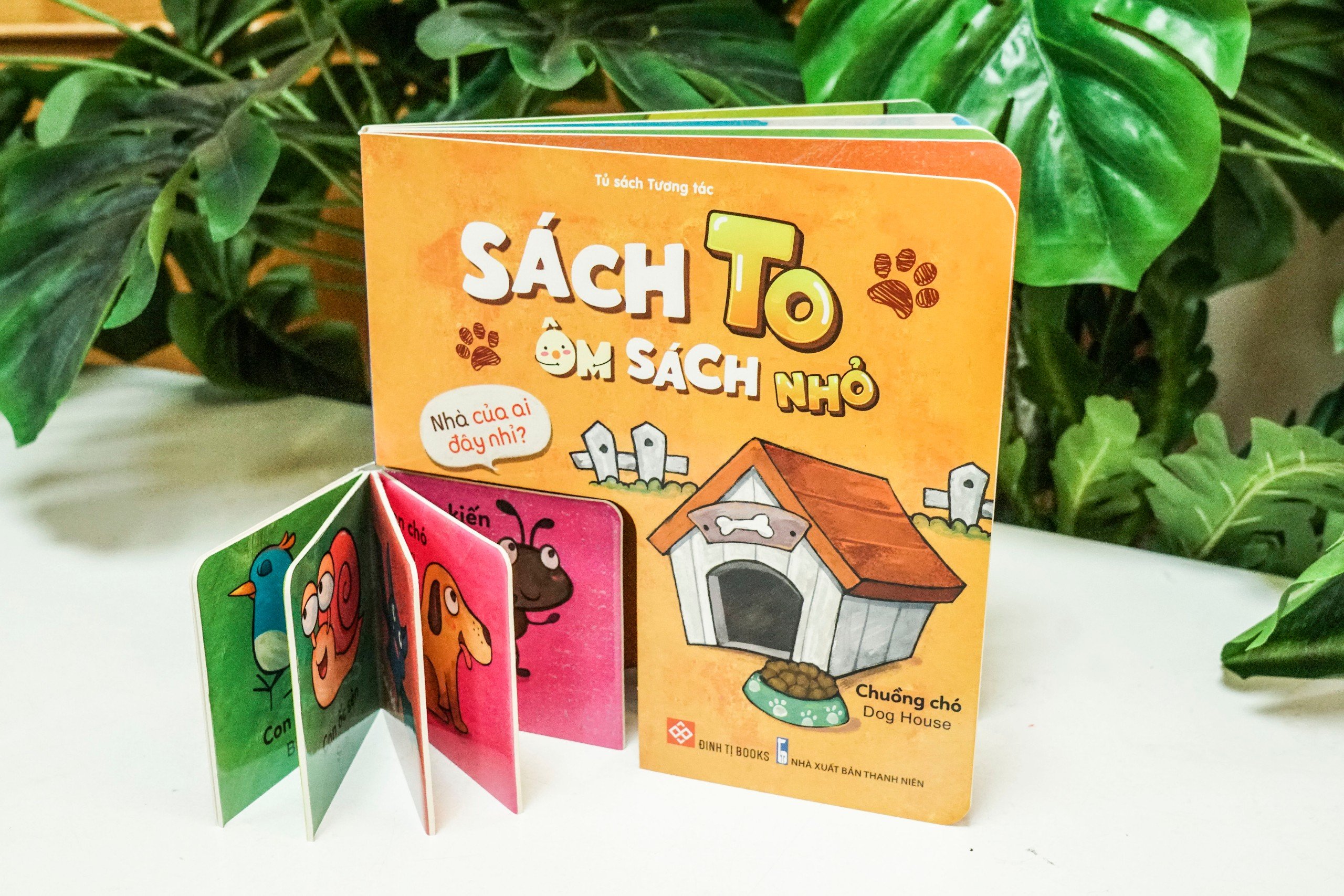 Sách - bộ sách to ôm sách nhỏ dành cho trẻ 3-6 tuổi - Đinh Tị Books