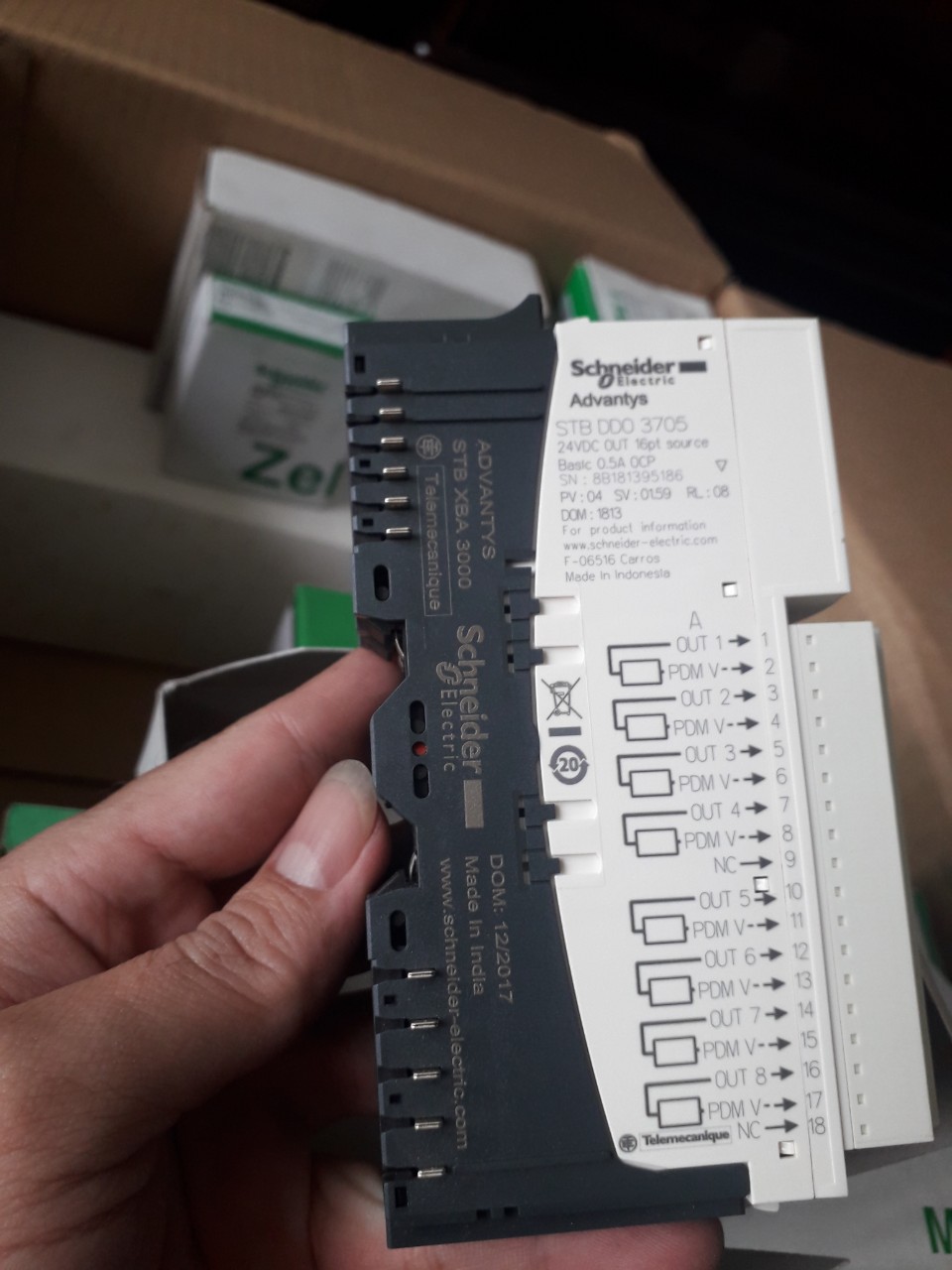 Mô đun STBDDO3705KS Schneider - modul đầu ra số STB DDO 3705 24 V DC - 16 DO Chính hãng