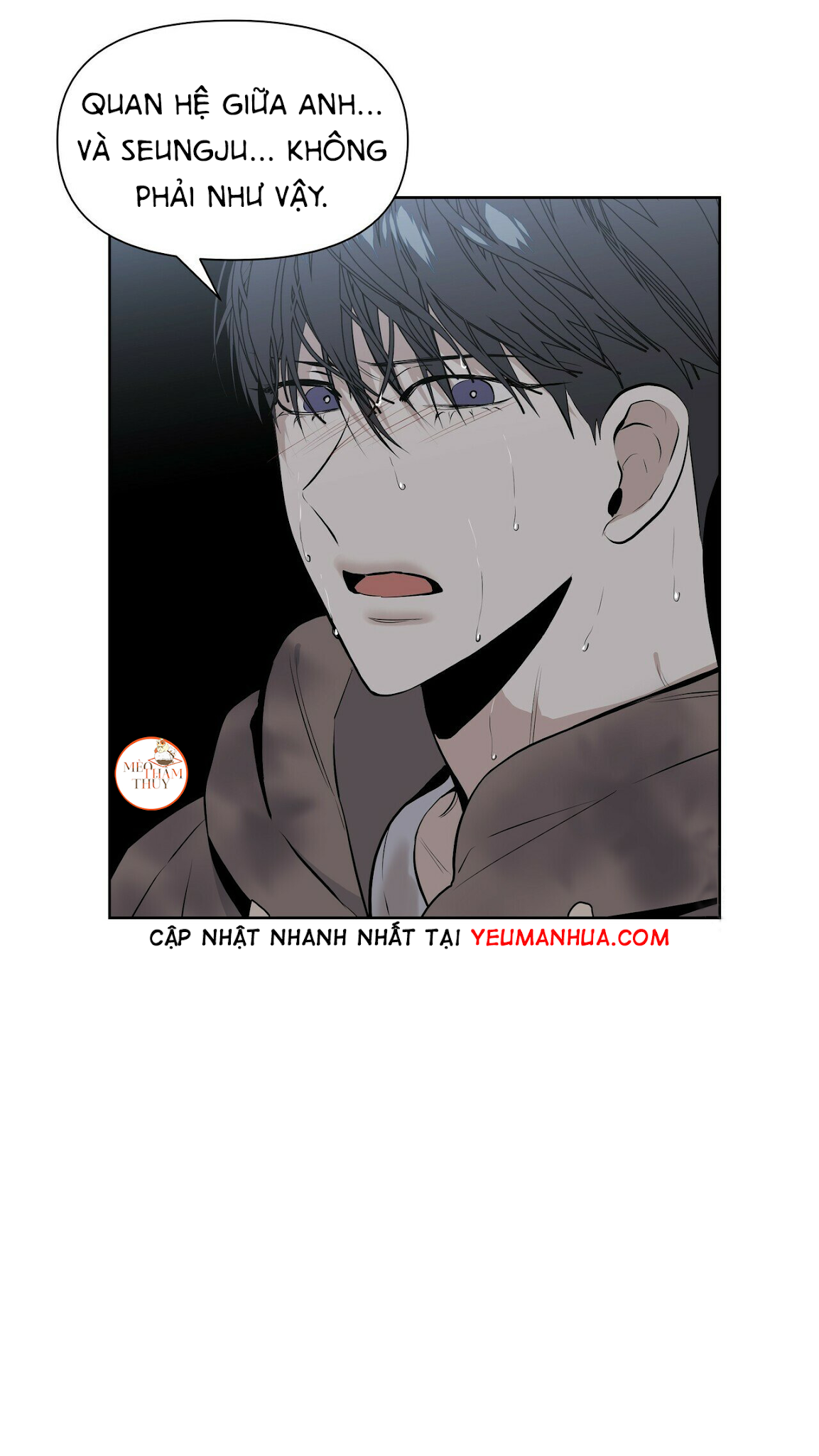 hội chứng chapter 11 4