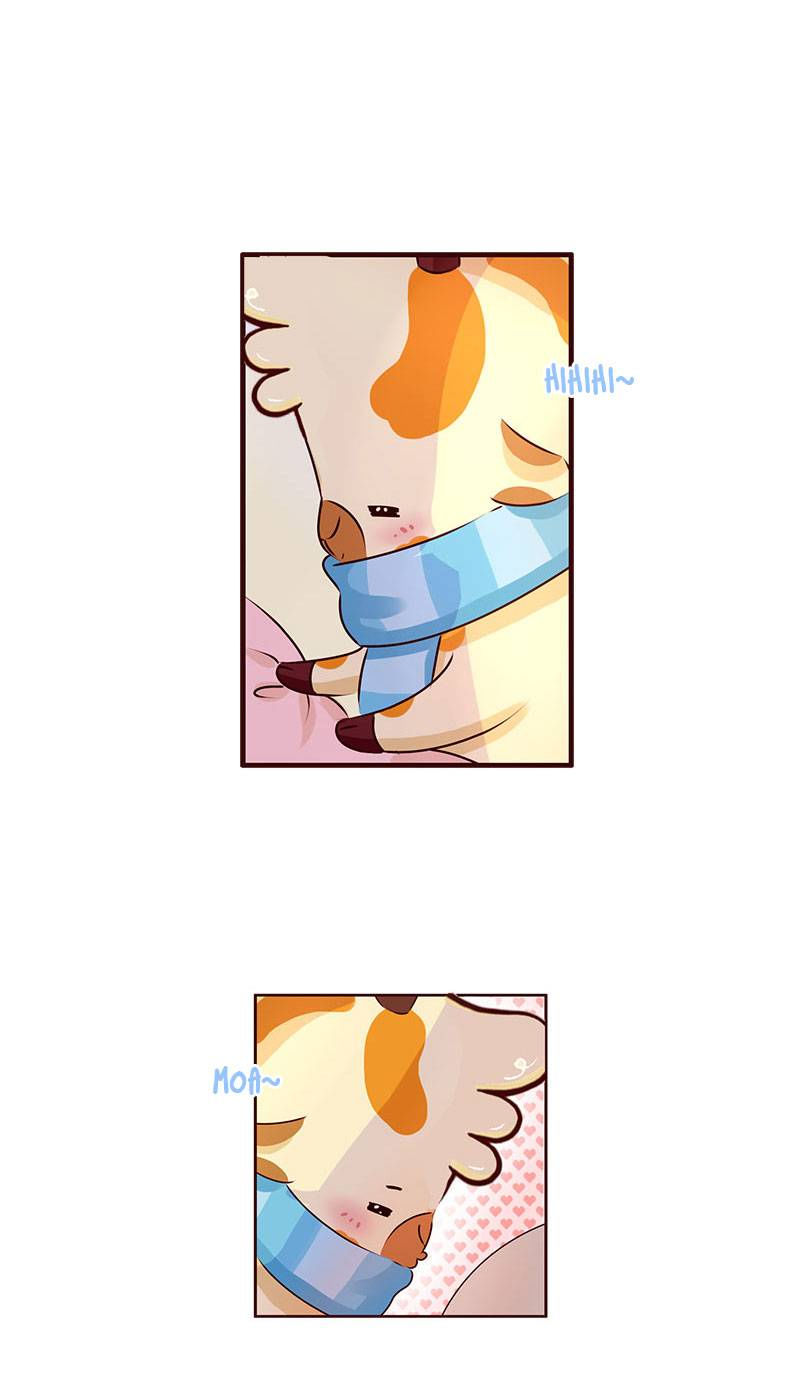 lạc chẩm cổ dài chapter 14 5