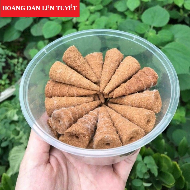 Hộp 35 nụ Hoàng Đàn TUYẾT Lạng Sơn NGUYÊN CHẤT 100% - Gỗ Hoàng Đàn