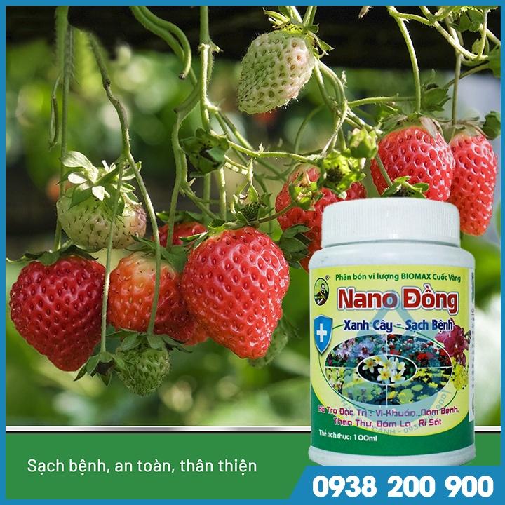 Nano Đồng Diệt nấm bệnh cho cây trồng, xử lý rong rêu, giúp xanh lá, cứng cây - chai 100ml