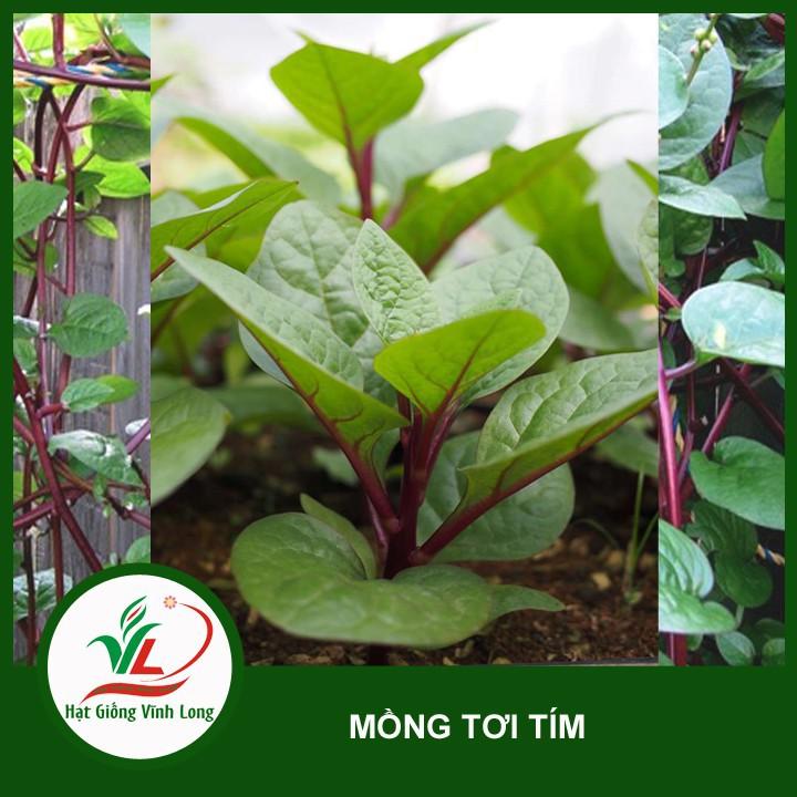 Hạt giống rau mồng tơi tím 1 gói 2.5gram