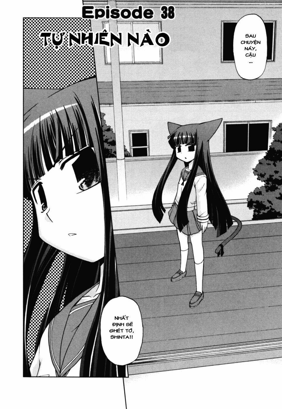 koi neko chapter 38 3