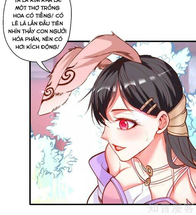 tối cường đại biểu hoàng kim thận chapter 82 42