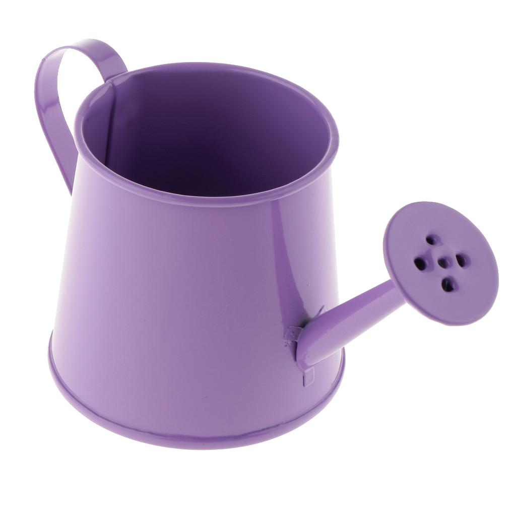 3x Pastoral Style Flower Watering Can Water Pot Sprayer Kettle for Small Plants