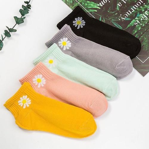 Sét 10 Tất cổ ngắn in hình hoa cúc nhiều màu