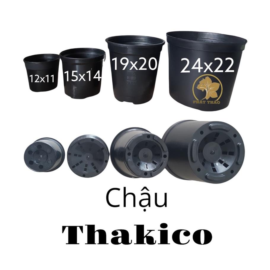 set 10 cái Chậu nhựa cứng THAKICO (12x11cm)màu Đen, thoát nước tốt, đa dạng kích thước