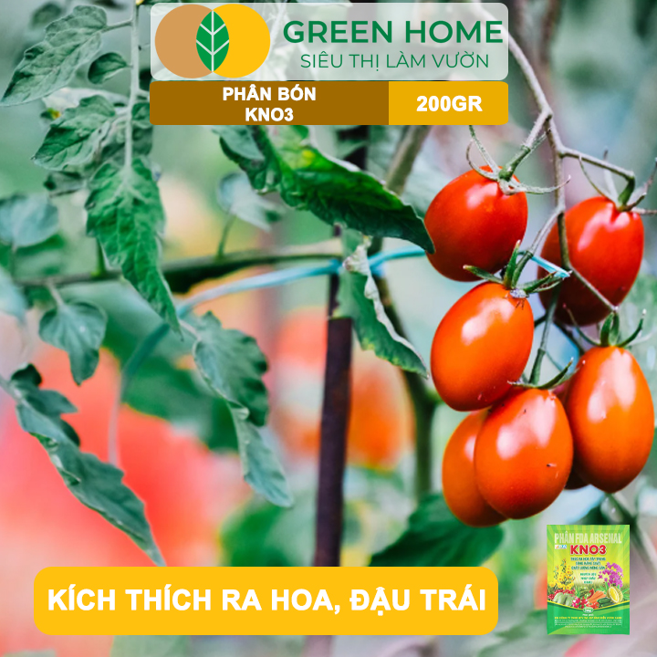 Phân Bón Lá KNO3 GreenHome, Gói 200gr, Nguyên Liệu Nhập Khẩu Israel, Kích Hoa, Đậu Quả Tốt