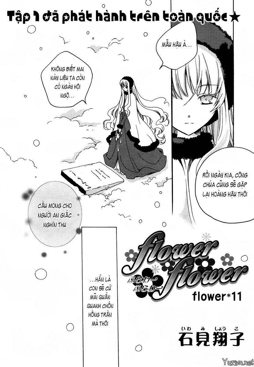flower flower chapter 11 3