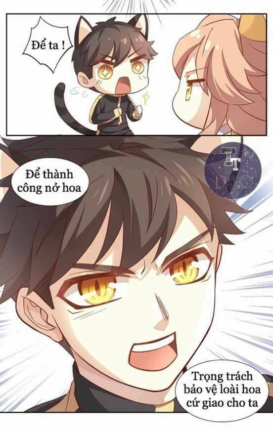 dưới móng vuốt mèo chapter 2 28