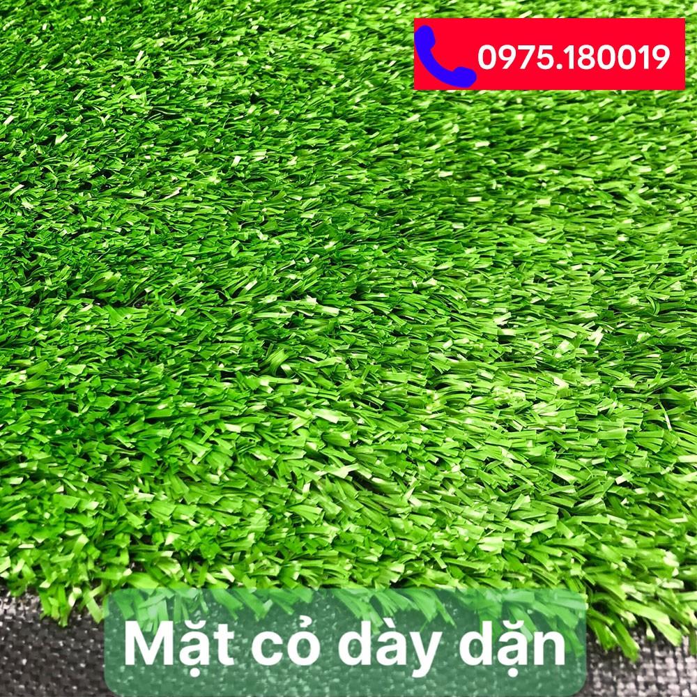 THẢM CỎ NHÂN TẠO SÂN VƯỜN 1CM GIÁ RẺ TPHCM  | CỎ NHÂN TẠO SG