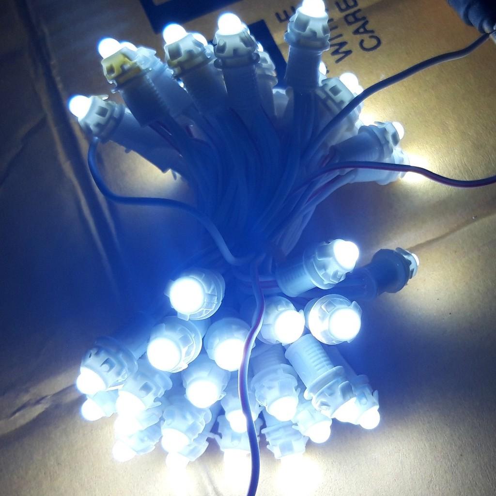 Cuộn Led đúc F5 trang trí đơn màu ánh sáng trắng, vàng, xanh lá