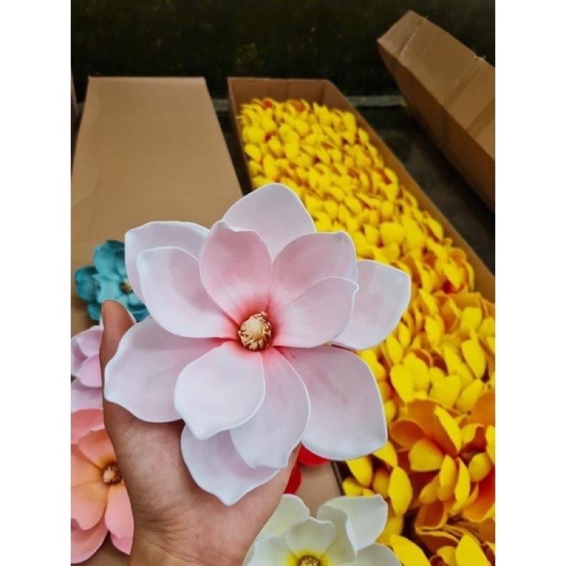 Hoa mộc lan bông đại