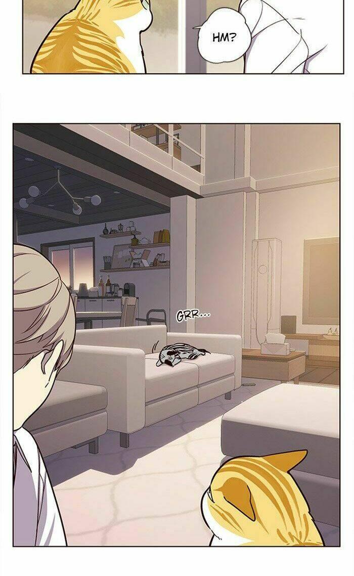 biến thân thành mèo chapter 10 14