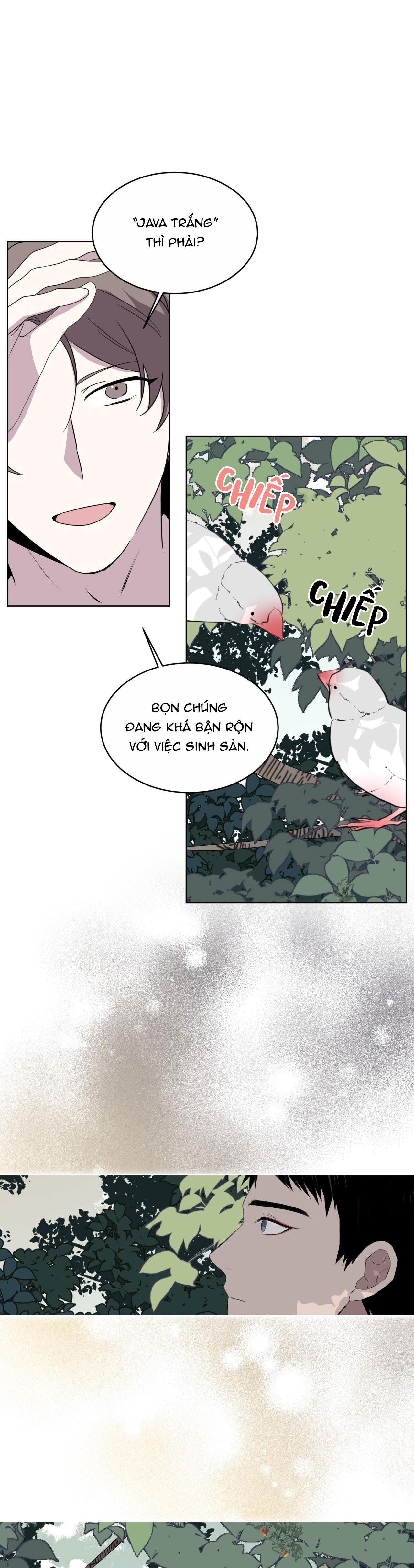 rừng biển [bl] chapter 24 30