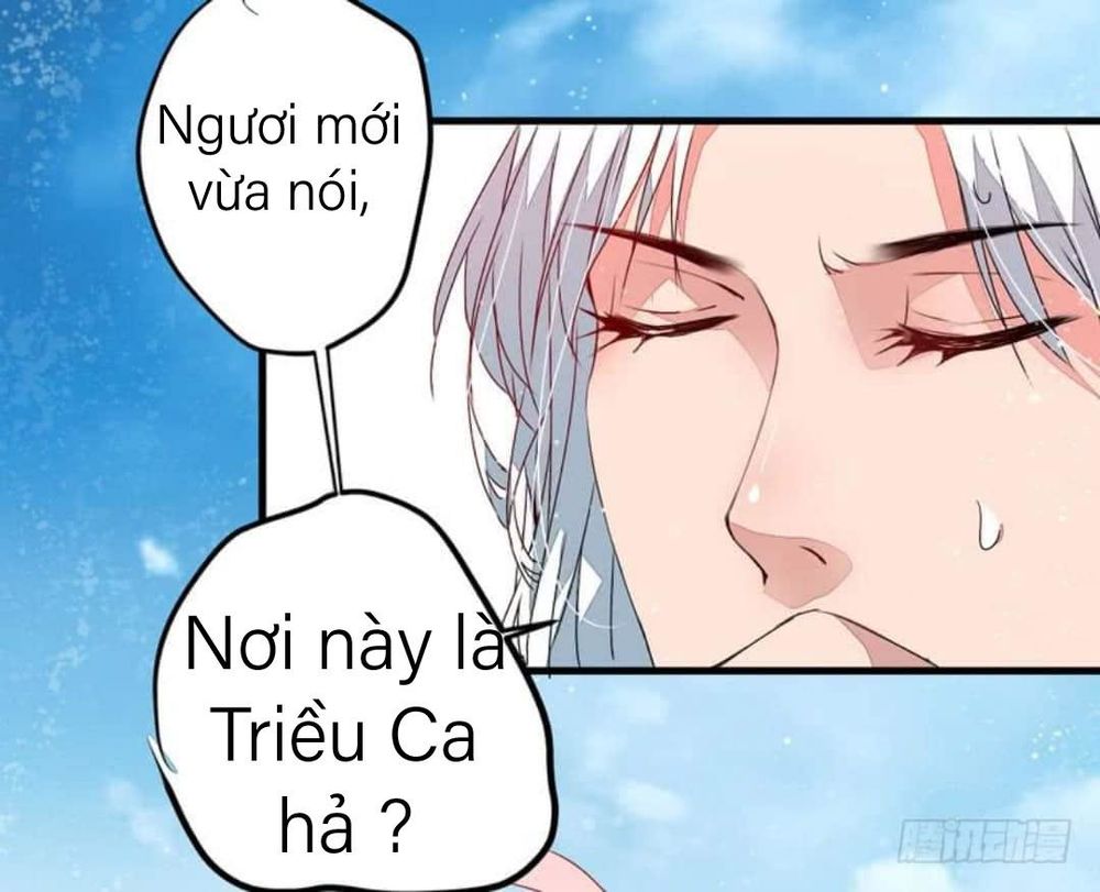 xuyên qua cứu mỹ nam ở thế giới phong thần chapter 11 15