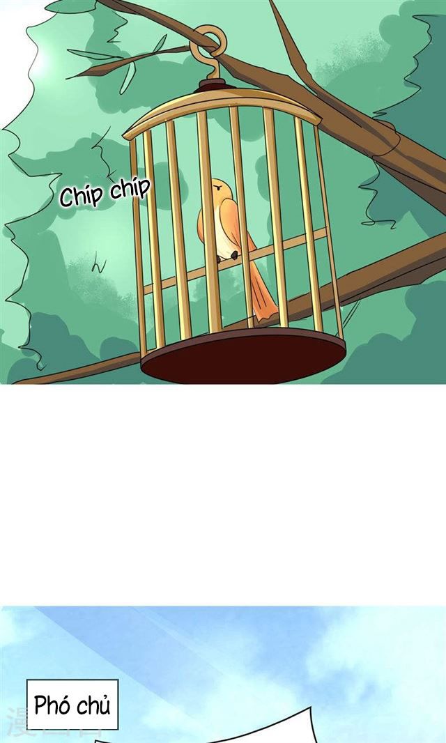 Dân Quốc Yêu Văn Lục chapter 86 - Trang 12