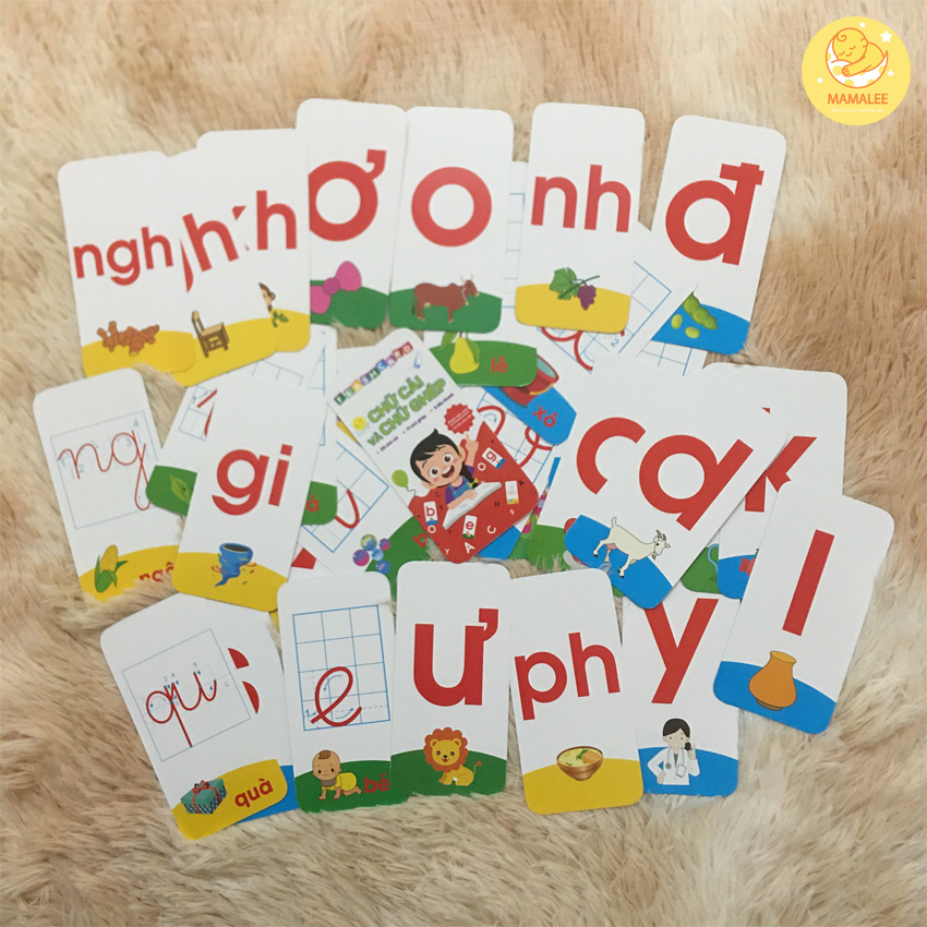 Bộ 42 Thẻ Học Thông Minh Flashcard Chữ Cái, Chữ Ghép Kèm Dấu Size 7x14cm - Thẻ Học Thông Minh Glenn Doman