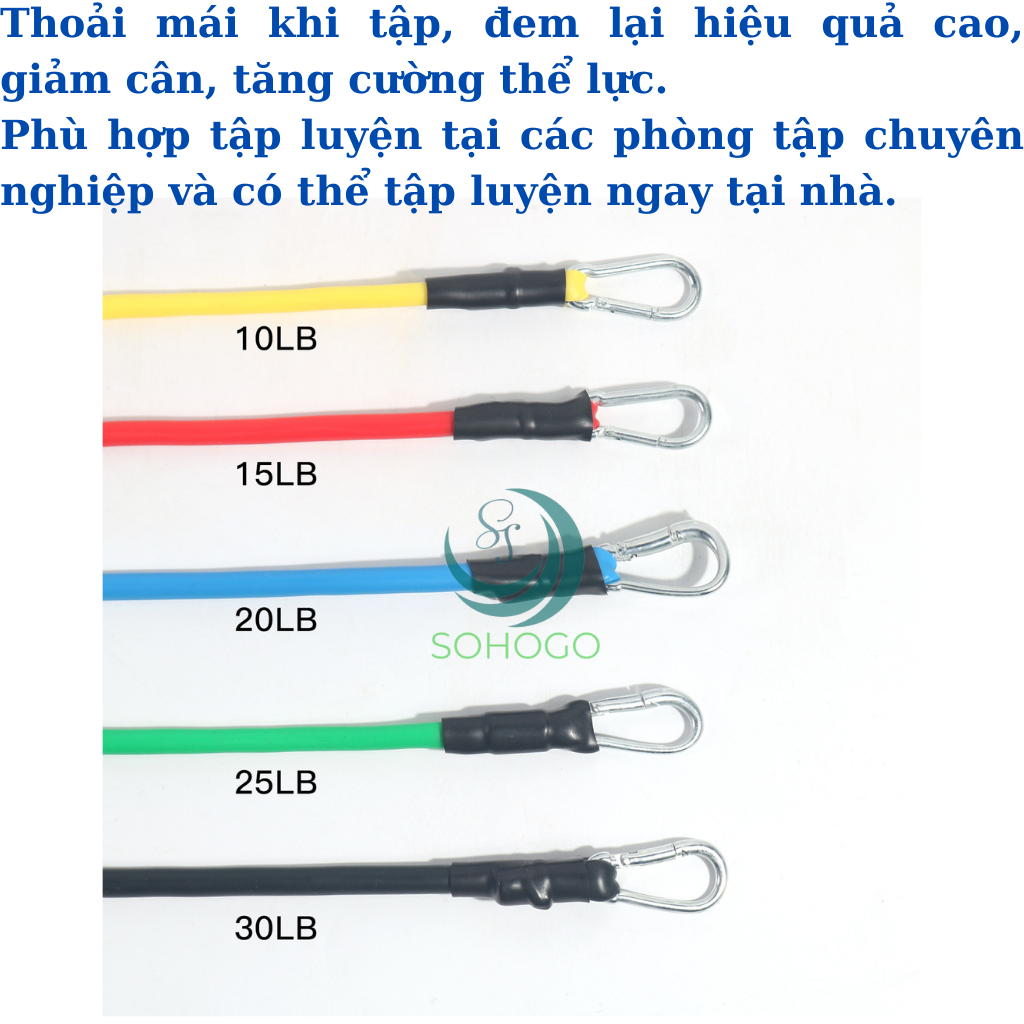 Dây Đàn Hồi Tập Gym 11 Món Tặng Kèm 2 Dây Đai Cổ Tay-Dây Cao Su Kháng Lực Cao Cấp Đa Năng Tập Gym