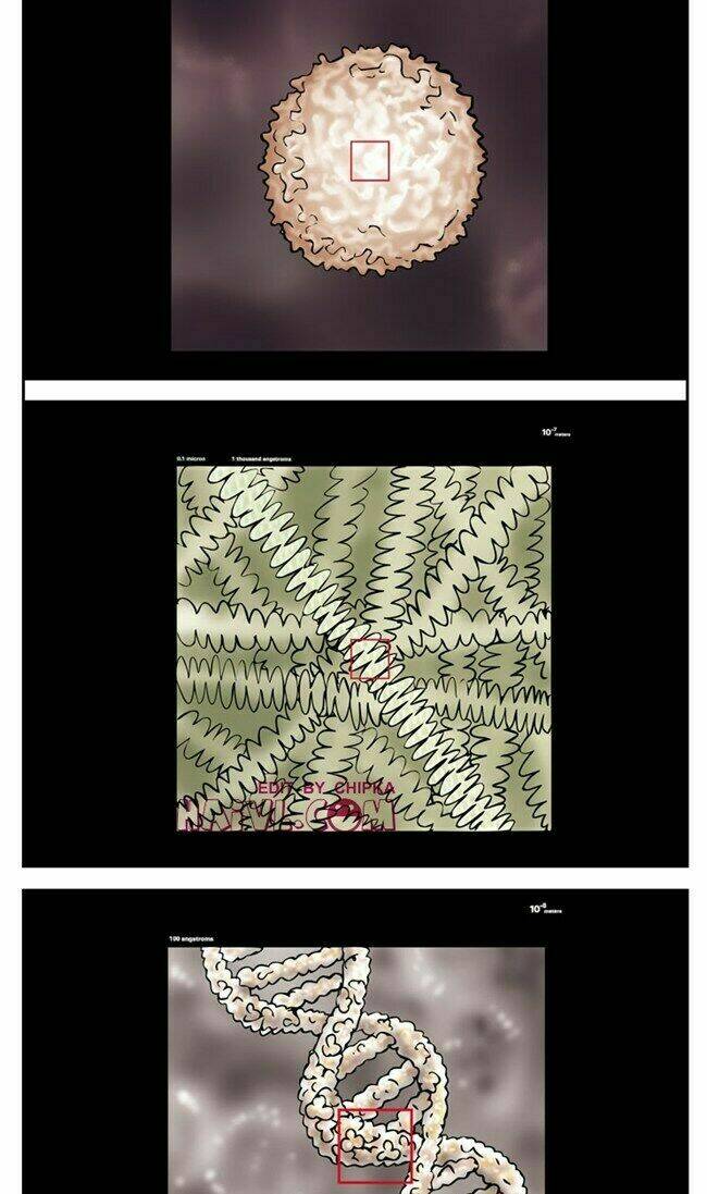 kim chi và củ cải chapter 60 2