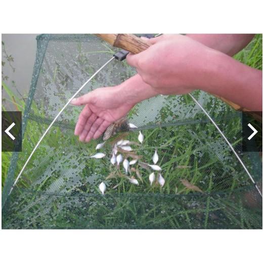 Vó đánh bắt tôm cá chuẩn