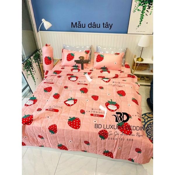 Bộ chăn hè ga gối cottonpoly 5 món