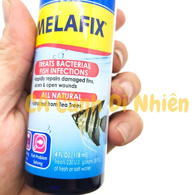 Dung dịch kháng khuẩn API Melafix 118 ML cho hồ cá cảnh