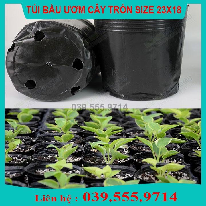 TÚI BẦU NHỰA MỀM ƯƠM CÂY1KG - CHẬU ĐẸP BỀN